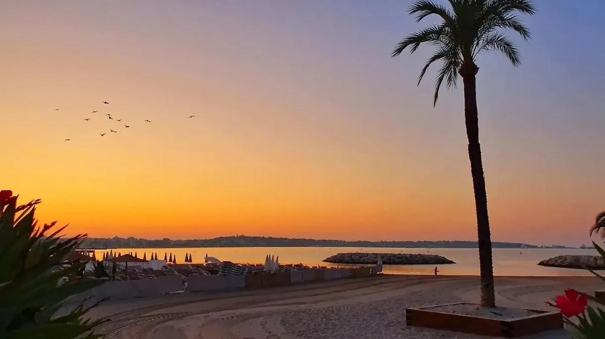 Apartment Le Contemporain - Golfe Juan - 5 Min Des Plages - 10 Min De Cannes! Vallauris